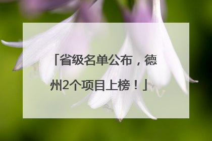 省级名单公布，德州2个项目上榜！