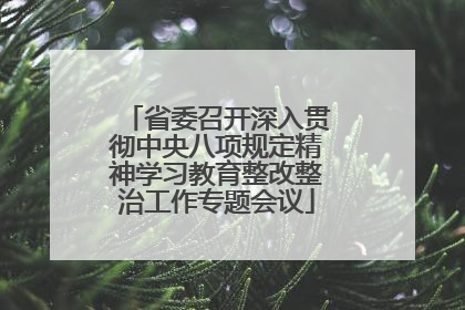 省委召开深入贯彻中央八项规定精神学习教育整改整治工作专题会议