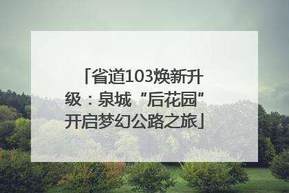 省道103焕新升级：泉城“后花园”开启梦幻公路之旅