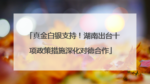 真金白银支持！湖南出台十项政策措施深化对德合作