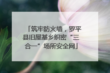 筑牢防火墙，罗平县旧屋基乡织密“三合一”场所安全网