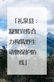 礼泉县：凝聚宣传合力构筑野生动物保护防线