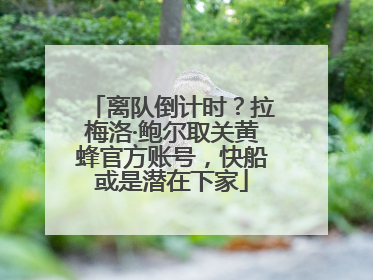离队倒计时？拉梅洛·鲍尔取关黄蜂官方账号，快船或是潜在下家