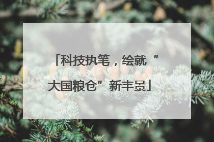 科技执笔，绘就“大国粮仓”新丰景