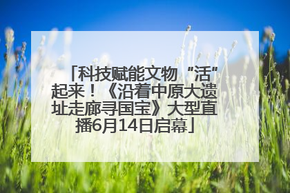 科技赋能文物“活”起来！《沿着中原大遗址走廊寻国宝》大型直播6月14日启幕
