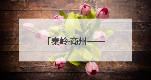 秦岭·商州——山水人文邀天下，商州区委副书记、区长支朝奇推介5个重点招商项目