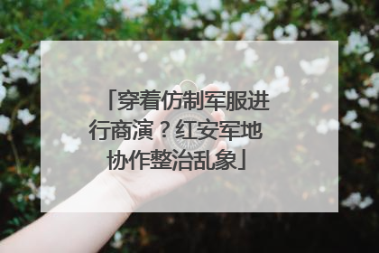穿着仿制军服进行商演？红安军地协作整治乱象