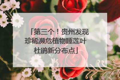 第三个！贵州发现珍稀濒危植物睡莲叶杜鹃新分布点