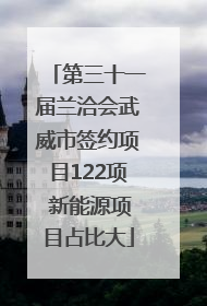 第三十一届兰洽会武威市签约项目122项 新能源项目占比大