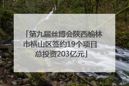 第九届丝博会陕西榆林市横山区签约19个项目 总投资203亿元