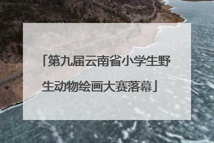 第九届云南省小学生野生动物绘画大赛落幕