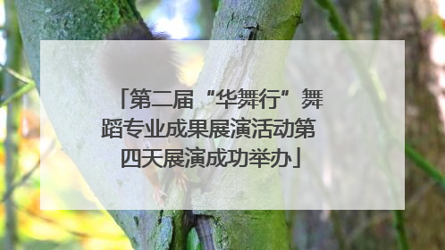第二届“华舞行”舞蹈专业成果展演活动第四天展演成功举办