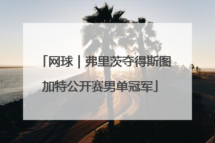 网球｜弗里茨夺得斯图加特公开赛男单冠军