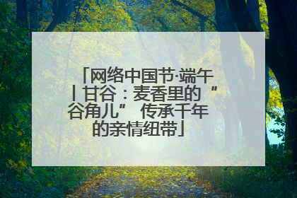 网络中国节·端午丨甘谷：麦香里的“谷角儿” 传承千年的亲情纽带