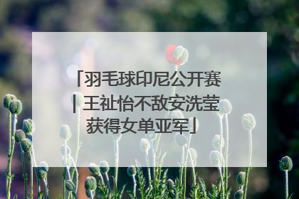 羽毛球印尼公开赛｜王祉怡不敌安洗莹 获得女单亚军
