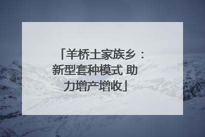 羊桥土家族乡：新型套种模式 助力增产增收