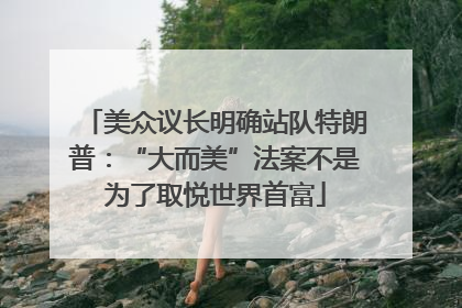 美众议长明确站队特朗普：“大而美”法案不是为了取悦世界首富