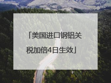 美国进口钢铝关税加倍4日生效
