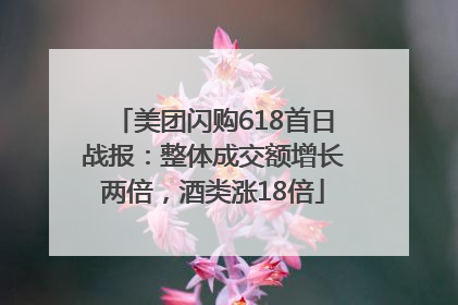 美团闪购618首日战报：整体成交额增长两倍，酒类涨18倍