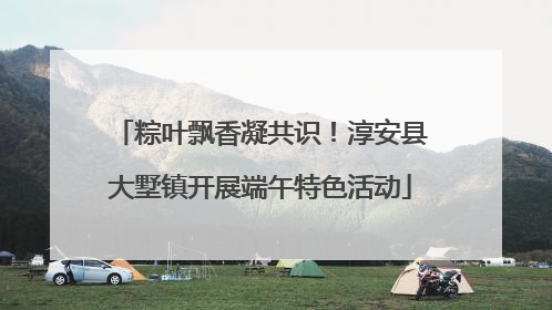 粽叶飘香凝共识！淳安县大墅镇开展端午特色活动