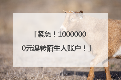 紧急！10000000元误转陌生人账户！