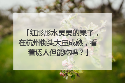 红彤彤水灵灵的果子，在杭州街头大量成熟，看着诱人但能吃吗？