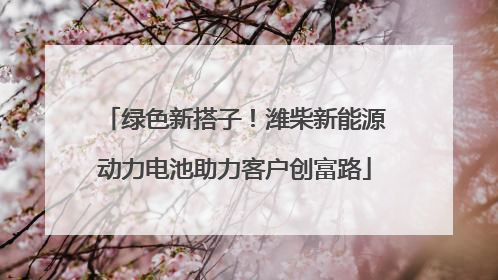 绿色新搭子！潍柴新能源动力电池助力客户创富路