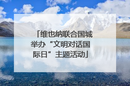 维也纳联合国城举办“文明对话国际日”主题活动
