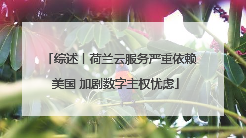 综述丨荷兰云服务严重依赖美国 加剧数字主权忧虑