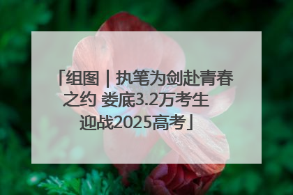 组图｜执笔为剑赴青春之约 娄底3.2万考生迎战2025高考