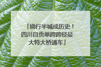 绕行半城成历史！四川自贡单跨跨径最大特大桥通车