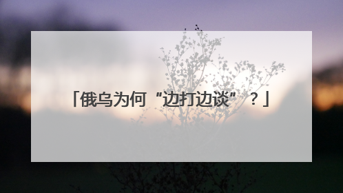俄乌为何“边打边谈”？