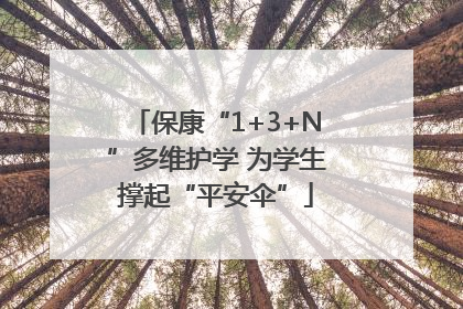 保康“1+3+N”多维护学 为学生撑起“平安伞”