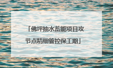 佛坪抽水蓄能项目攻节点精细管控保工期