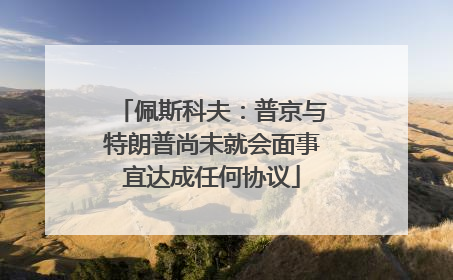 佩斯科夫：普京与特朗普尚未就会面事宜达成任何协议
