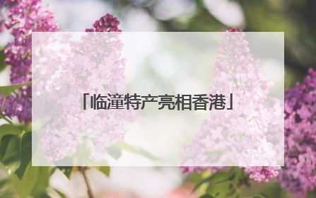 临潼特产亮相香港