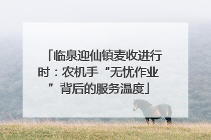 临泉迎仙镇麦收进行时：农机手“无忧作业”背后的服务温度