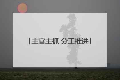 主官主抓 分工推进