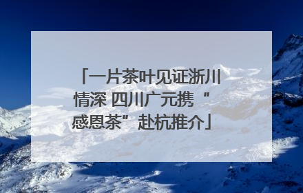 一片茶叶见证浙川情深 四川广元携“感恩茶”赴杭推介