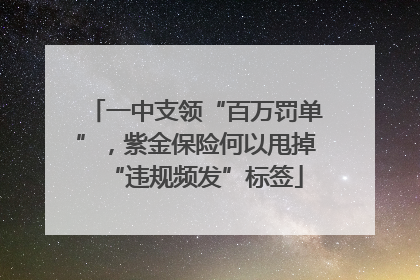 一中支领“百万罚单”，紫金保险何以甩掉“违规频发”标签