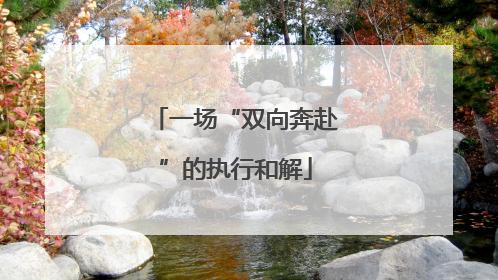 一场“双向奔赴”的执行和解