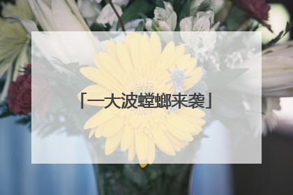 一大波螳螂来袭