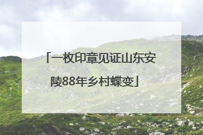 一枚印章见证山东安陵88年乡村蝶变