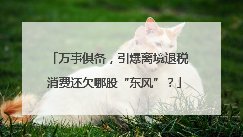 万事俱备，引爆离境退税消费还欠哪股“东风”？