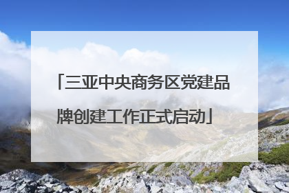 三亚中央商务区党建品牌创建工作正式启动
