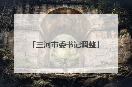 三河市委书记调整