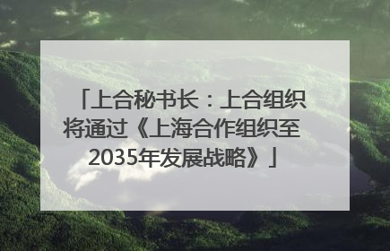 上合秘书长：上合组织将通过《上海合作组织至2035年发展战略》