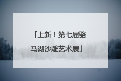 上新！第七届骆马湖沙雕艺术展