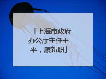 上海市政府办公厅主任王平，履新职