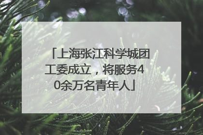 上海张江科学城团工委成立，将服务40余万名青年人